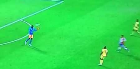 Vine: Jamaican goalkeeper blunder leads to incredibly odd goal at Copa America