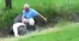 VIDEO: The stupidest golfer on the planet should be eaten alive but is spared by one angry alligator