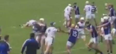 VIDEO: Horrific scenes from Waterford hurling match as mass brawl erupts on the field (NSFW)