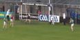 Poll: New video evidence suggests that the disputed Limerick goal did go into the net after all