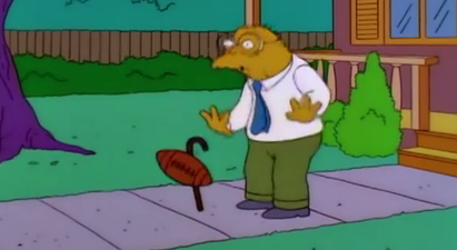 Hans Moleman made a bit of a cameo at the Ashes earlier