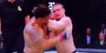 VINE: Frank Mir’s haymaker knock-out at UFC Fight Night San Diego is merely outrageous