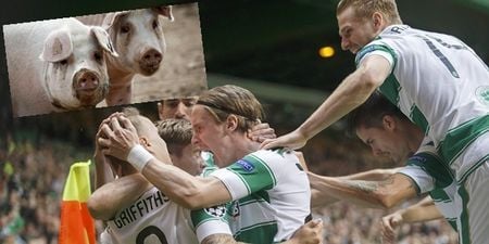 ‘They are pigs’ – Malmo players lash into Celtic after Champions League clash