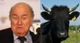 Pic: This has to be the strangest gift Sepp Blatter has ever received