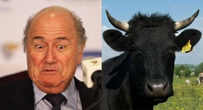 Pic: This has to be the strangest gift Sepp Blatter has ever received