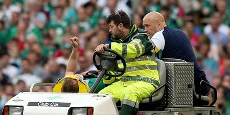 Joe Schmidt’s injury update should cheer Irish fans somewhat