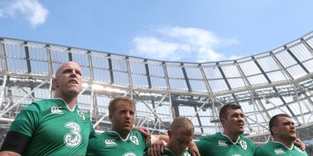 Leaks proved correct as Ireland officially announce World Cup squad