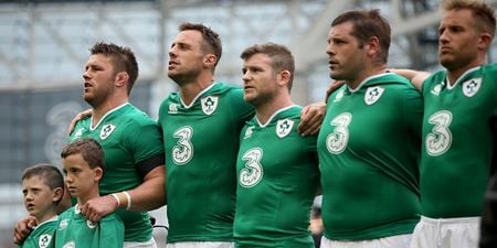 Joe Schmidt’s goes against his better judgement with risky World Cup selections