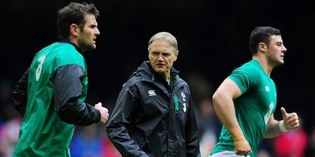 Joe Schmidt explains ‘brutal reality’ of selecting Ireland’s World Cup squad