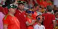 This Welsh fan may very well be the most sunburnt man ever at a football game