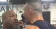 VIDEO: Shannon Briggs is at it again, this time tormenting Wladimir Klitschko at a Florida gym