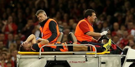 Yet another massive World Cup injury blow for Wales