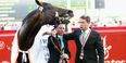 Michael Owen pays emotional tribute to Brown Panther who died at the Curragh today