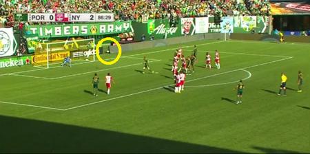 We felt we simply had to bring your attention to this glorious double save from the MLS