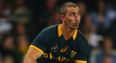 Ulster scrum-half Ruan Pienaar named on Springboks bench and fans not happy