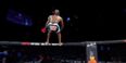 WATCH: Fighter disastrously back-flips straight onto camerawoman after Bellator triumph