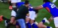 WATCH: Extraordinary scenes as Springboks fan invades pitch to disrupt ruck