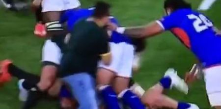 WATCH: Extraordinary scenes as Springboks fan invades pitch to disrupt ruck