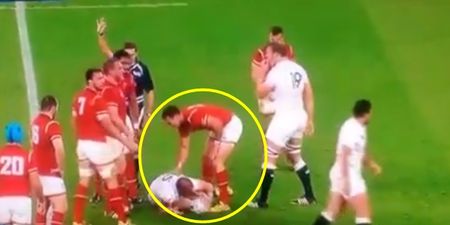 VIDEO: George North got right under Mike Brown’s skin at Twickenham