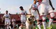 PICS: Sao Paulo players took to the pitch with dogs at the weekend to promote a great cause