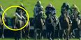 Vine: Great sportsmanship from Danny Mullins to keep rival jockey aboard horse