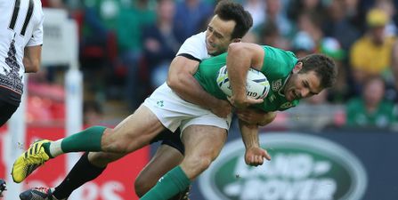 Who will replace injured Jared Payne in Ireland World Cup squad?