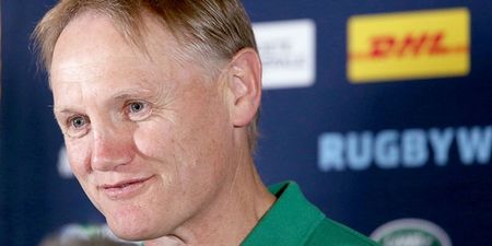 Joe Schmidt had reporters laughing with his 361-word answer about Argentina