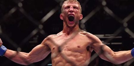 UFC champion TJ Dillashaw is open to the grudge match everyone wants to see