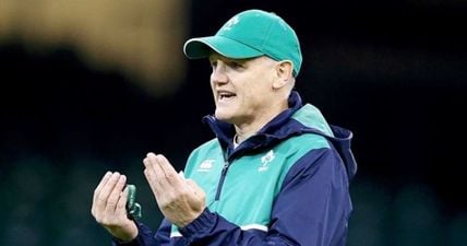 Joe Schmidt on the phone call home that will decide his Ireland future