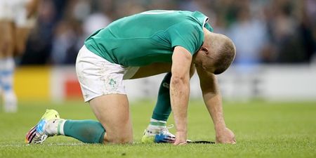 A section of Ireland fans laid into Joe Schmidt’s side after the World Cup loss to Argentina