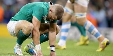 Joe Schmidt reveals the areas of Ireland’s horrible defeat that hurt him most