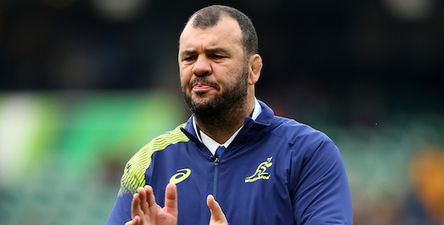 Michael Cheika hits out as World Rugby hangs Craig Joubert out to dry