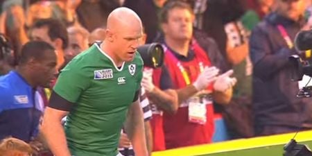 VIDEO: World Cup waves official goodbye to ‘fearless’ Scotland, ‘glorious’ Wales and ‘fantastic’ Ireland