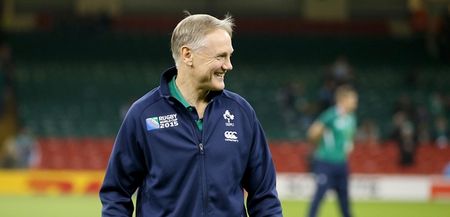 “I’m simply not going anywhere” – Joe Schmidt pledges future to Ireland