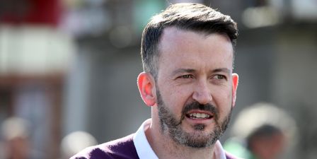 Donal Óg Cusack joins Davy Fitzgerald’s Clare backroom team for next season