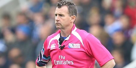 Concern at World Rugby headquarters as appointment of referee Nigel Owens threatens to overshadow final** (**well, not quite)