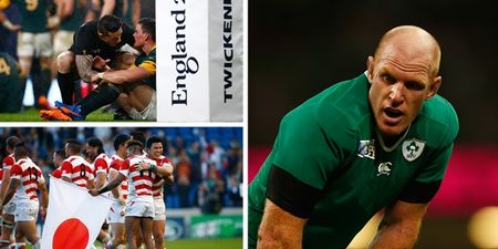 The story of a delirious, heartbreaking and uplifting Rugby World Cup in tweets