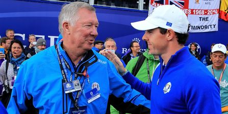 Rory McIlroy says he would “pay a lot of money to see Alex Ferguson knock Roy Keane out”