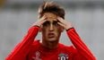 Dortmund teammate takes the p*ss out of Adnan Januzaj with bizarre Instagram post