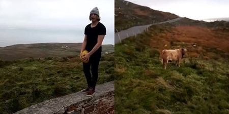 VIDEO: Aussie Rules star uses Irish cow for target practice to aid recovery from injury