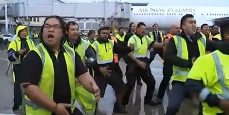 VIDEO: All Blacks greeted by airport staff doing haka as they touch down in Auckland