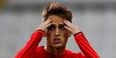 Dortmund sporting director speaks out about Januzaj Manchester United return rumours