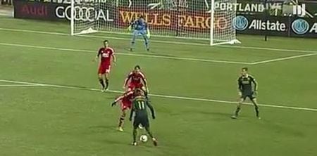 VIDEO: Portland Timbers fans go absolutely bonkers after sensational thunderbastard golazo