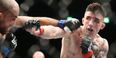 UFC offer Antrim’s Norman Parke new contract