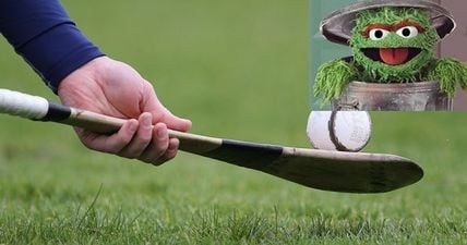 Pic: Impressively innovative wheelie bin use spotted at Galway hurling match