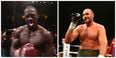 VIDEO: Deontay Wilder doesn’t seem too scared by Tyson Fury