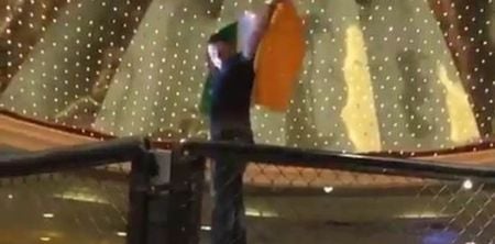 VIDEO: Conor McGregor fan gets chased down off lion statue in MGM by security