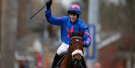 WATCH: Cue Card prevails in an unbelievable finish to the King George