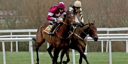 VIDEO: Stirring finish as Nichols Canyon busts a gut to win the Ryanair Hurdle at Leopardstown