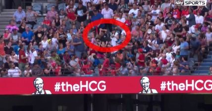 VIDEO: Supporter defies gravity and other fans to spectacularly catch a stray ball